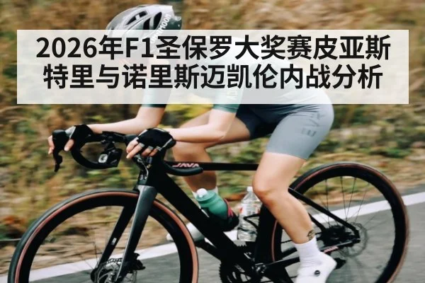 2026年F1圣保罗大奖赛皮亚斯特里与诺里斯迈凯伦内战分析
