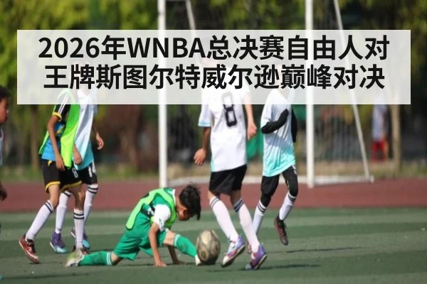 2026年WNBA总决赛自由人对王牌斯图尔特威尔逊巅峰对决